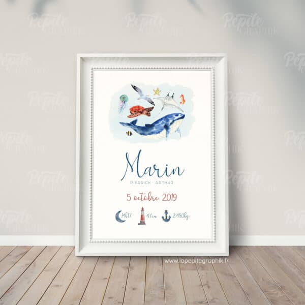 Affiche naissance animaux marins